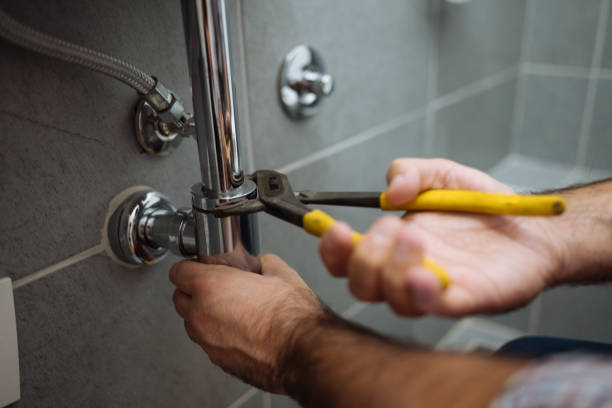 Best Shower Repair Services  in Albany, MN